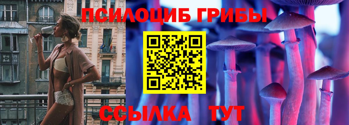 Галлюциногенные грибы Magic Shrooms Камышлов