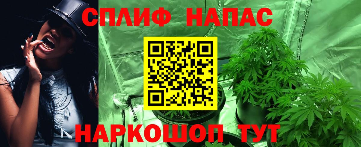 Бошки Шишки тримм Камышлов